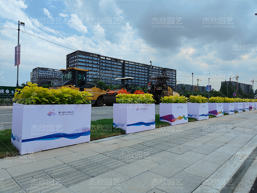 道路隔離花箱杭州亞運會花箱案例